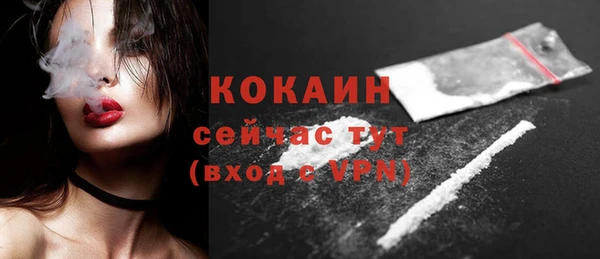 тгк Алексин