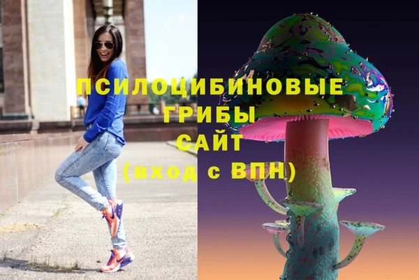 тгк Алексин