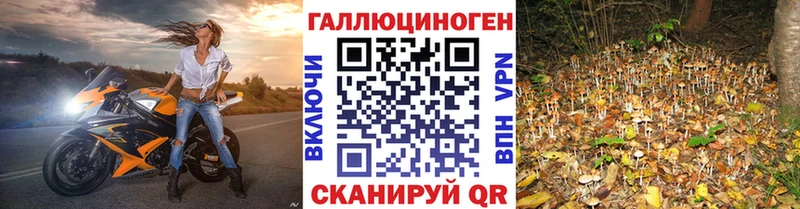 Галлюциногенные грибы Psilocybine cubensis  купить наркотик  Бирск 