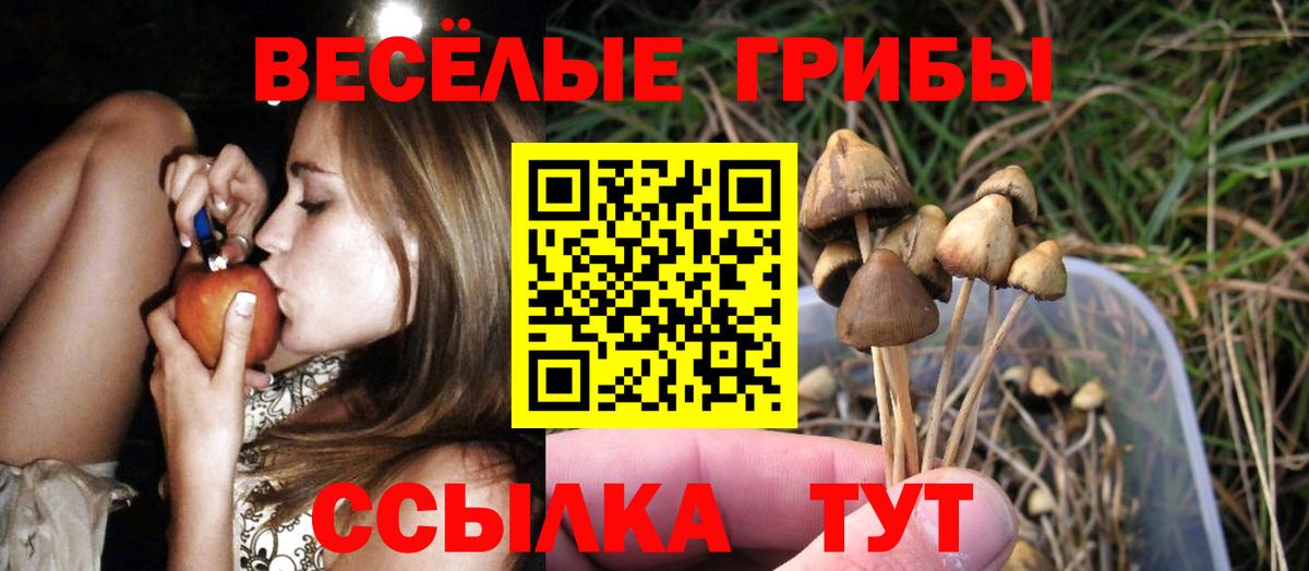 Псилоцибиновые грибы прущие грибы Бирск